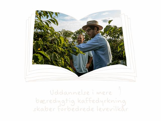 uddannelse i mere bæredygtig kaffedyrkning på kaffefarme i paraiso