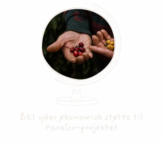 BKI yder økonomisk støtte til paraiso projektet