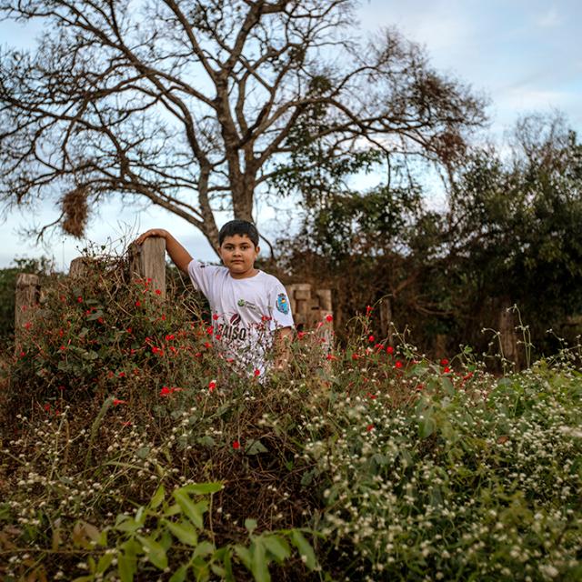 dreng ved blomster i paraiso-området i Brasilien